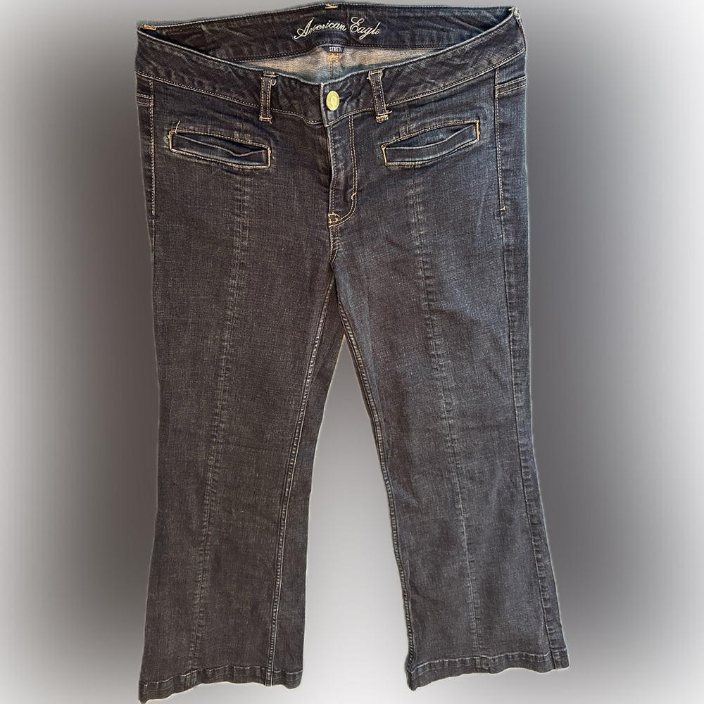 American Eagle Outfitters size 12 Hipster Dark Navy Cropped Jeans from 2011